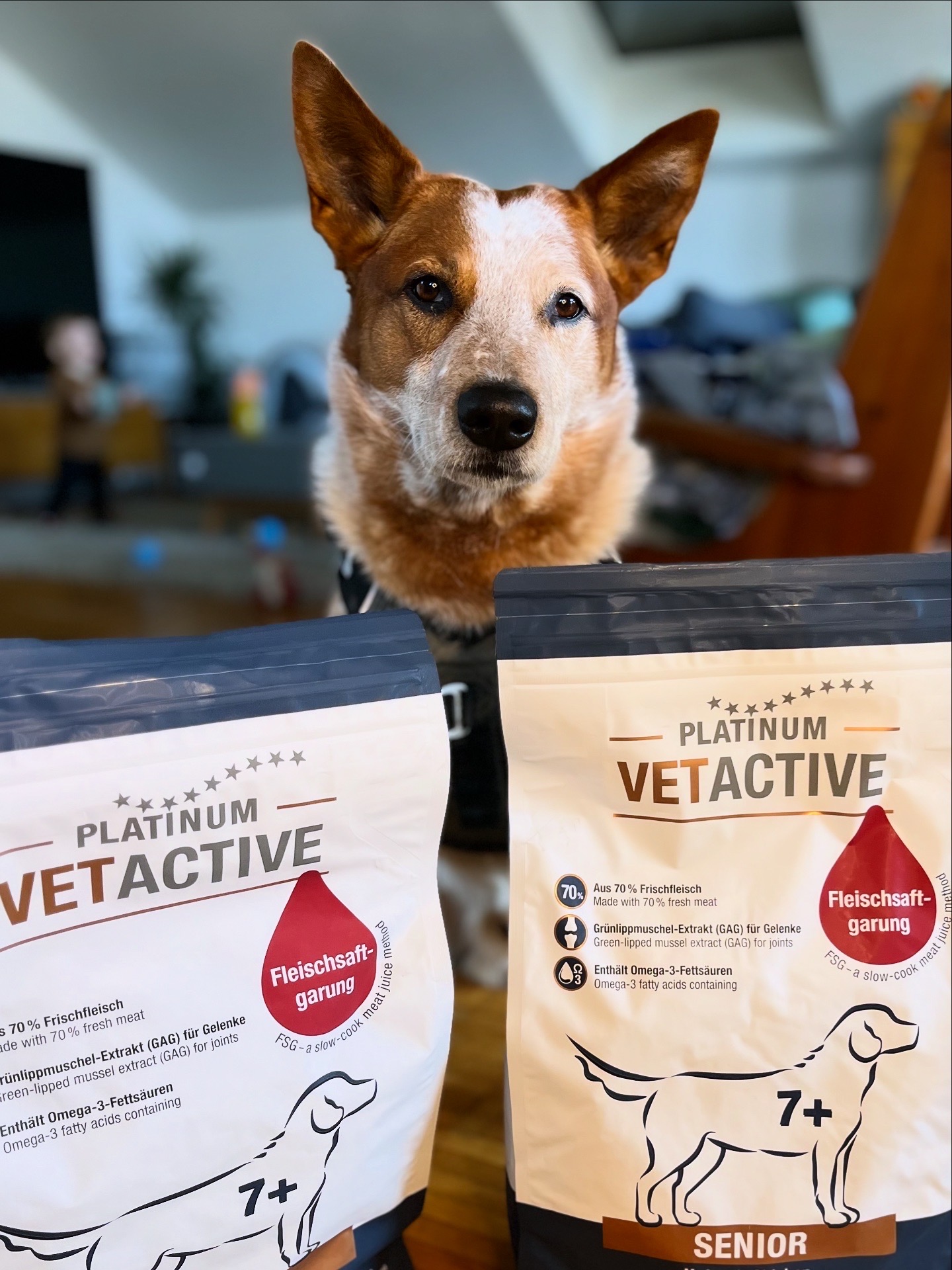 Platinum Vetactiv Senior Hundefutter