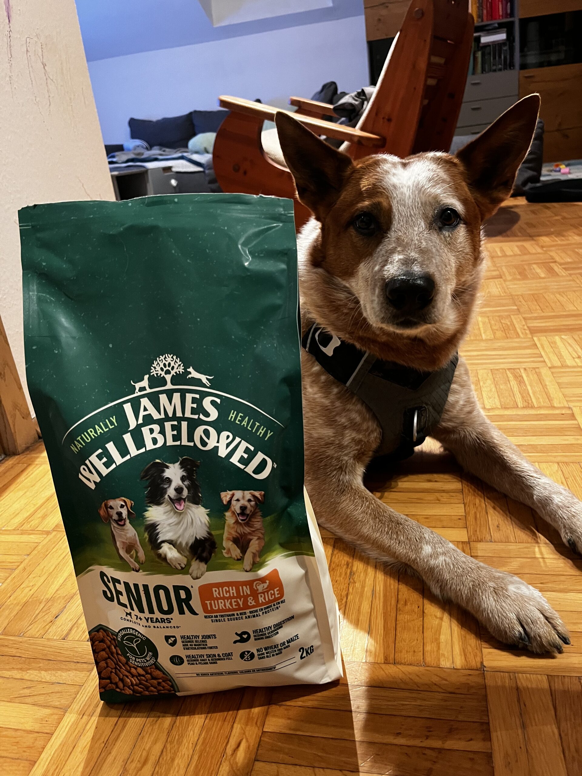 James Wellbeloved Hundefutter Senior